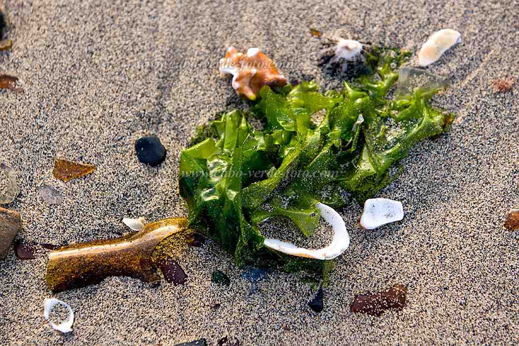 Insel: So Vicente  Wanderweg:  Ort: Mindelo Motiv: Strand Stillleben Motivgruppe: Landscape Sea © Florian Drmer www.Cabo-Verde-Foto.com