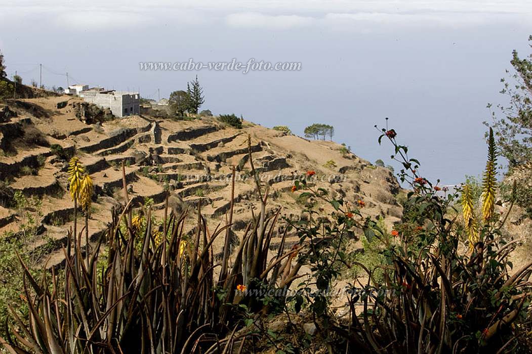 Insel: Santo Anto  Wanderweg:  Ort: Figueiral Motiv: Dorf Motivgruppe: Landscape Mountain © Florian Drmer www.Cabo-Verde-Foto.com