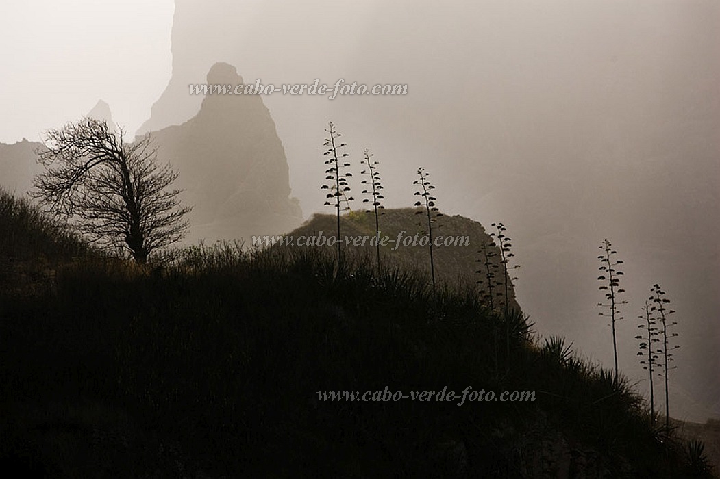 Santo Anto : Corda : mountain : Landscape MountainCabo Verde Foto Gallery