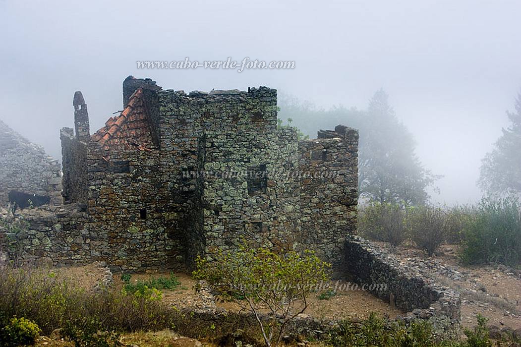 Santo Anto : Cova de Pal : old farmhouse : Landscape AgricultureCabo Verde Foto Gallery