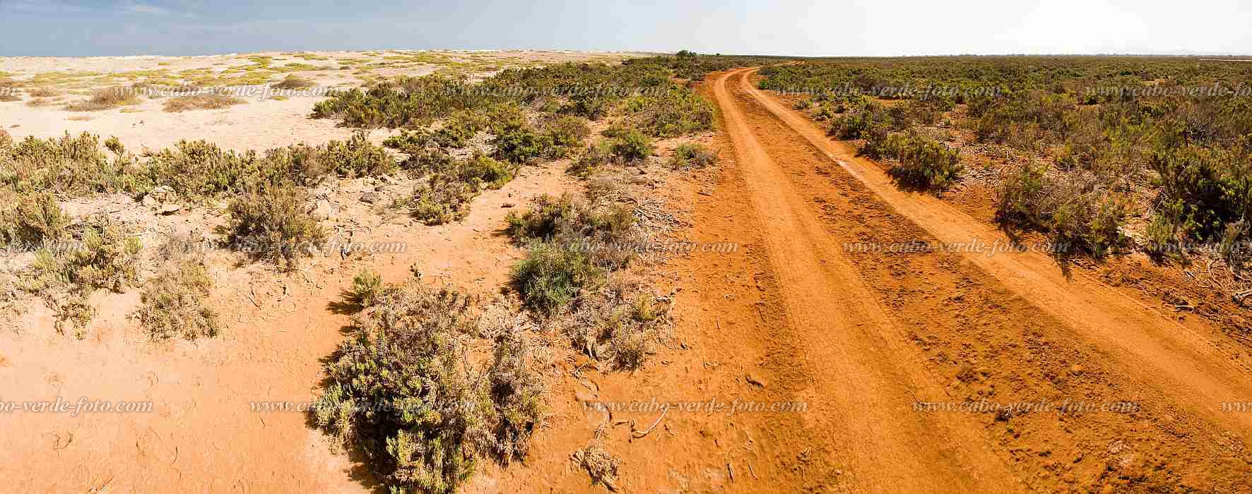 Maio : Terras Salgadas :  : Landscape DesertCabo Verde Foto Gallery