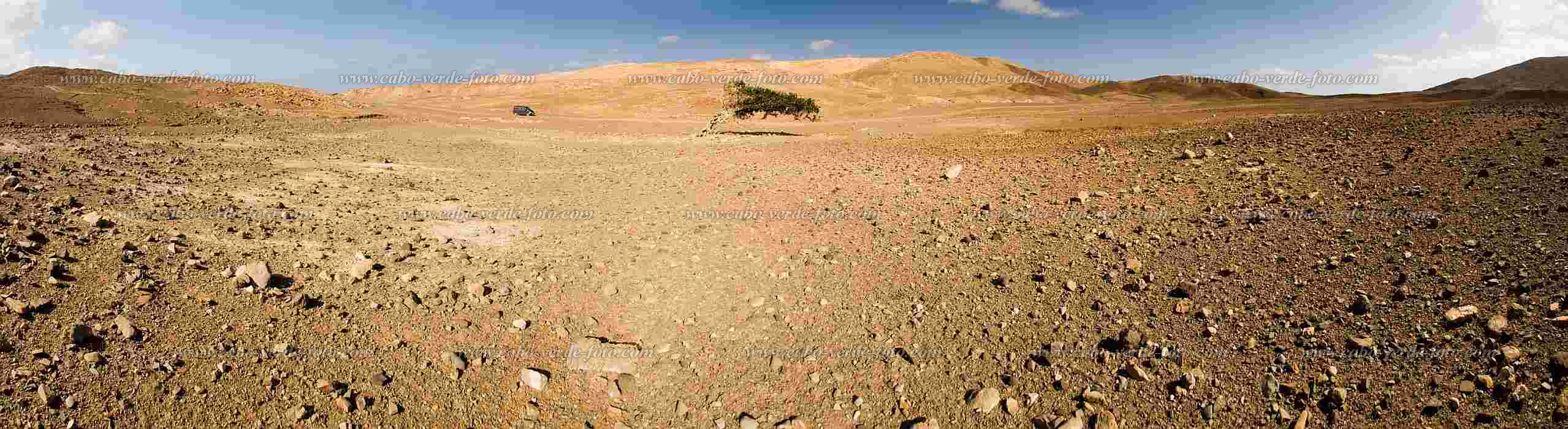 Maio :  :  : Landscape DesertCabo Verde Foto Gallery