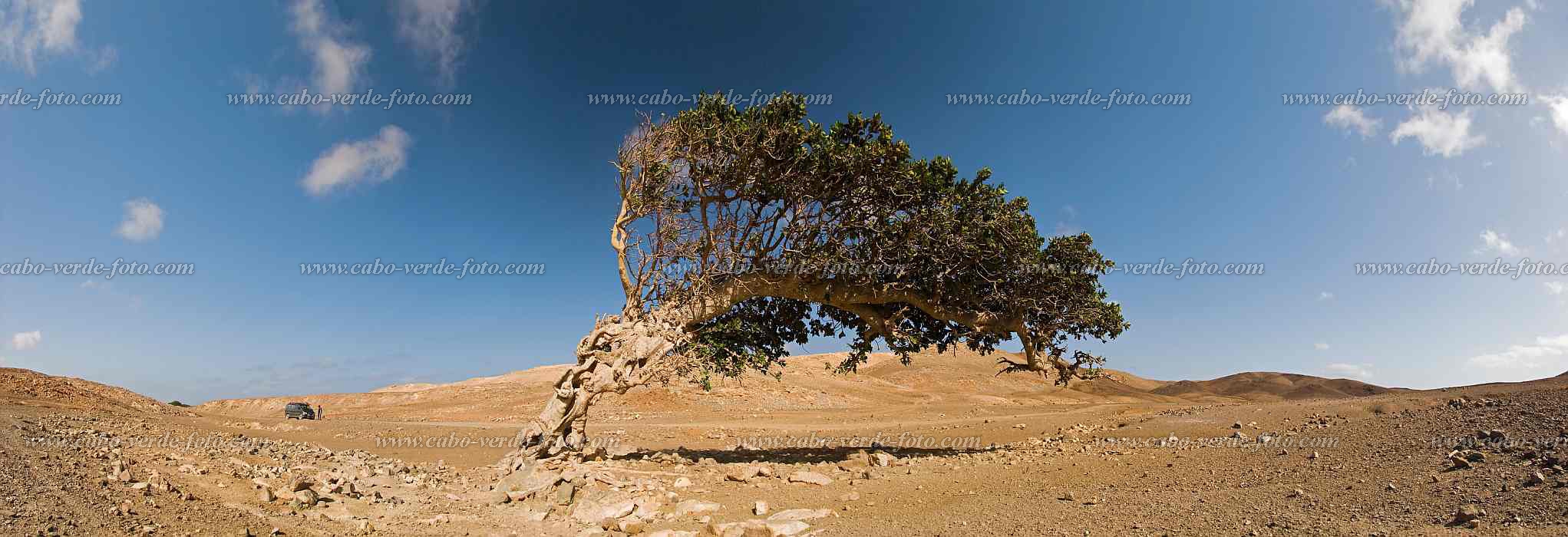 Maio :  :  : Landscape DesertCabo Verde Foto Gallery