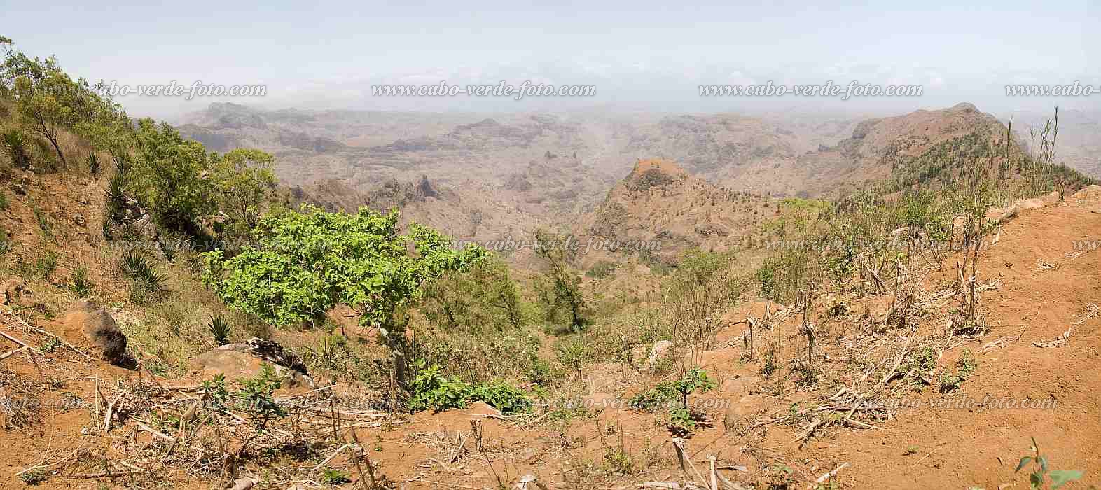 Santiago :  : panorama : Landscape AgricultureCabo Verde Foto Gallery