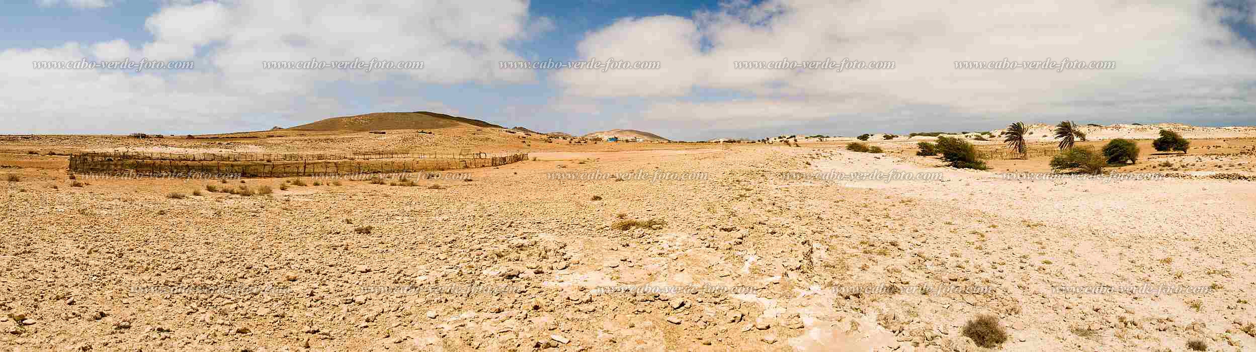 Boa Vista : Bofareia : hiking track in the desert : Landscape DesertCabo Verde Foto Gallery