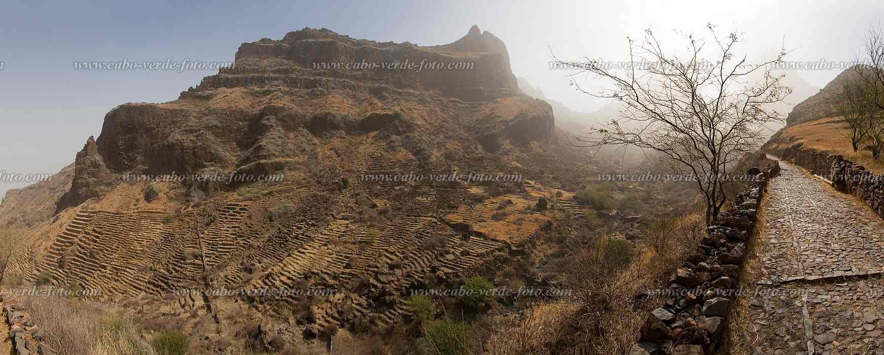 Insel: So Nicolau  Wanderweg:  Ort: Praia Branca Motiv:  Motivgruppe: Landscape Agriculture © Florian Drmer www.Cabo-Verde-Foto.com